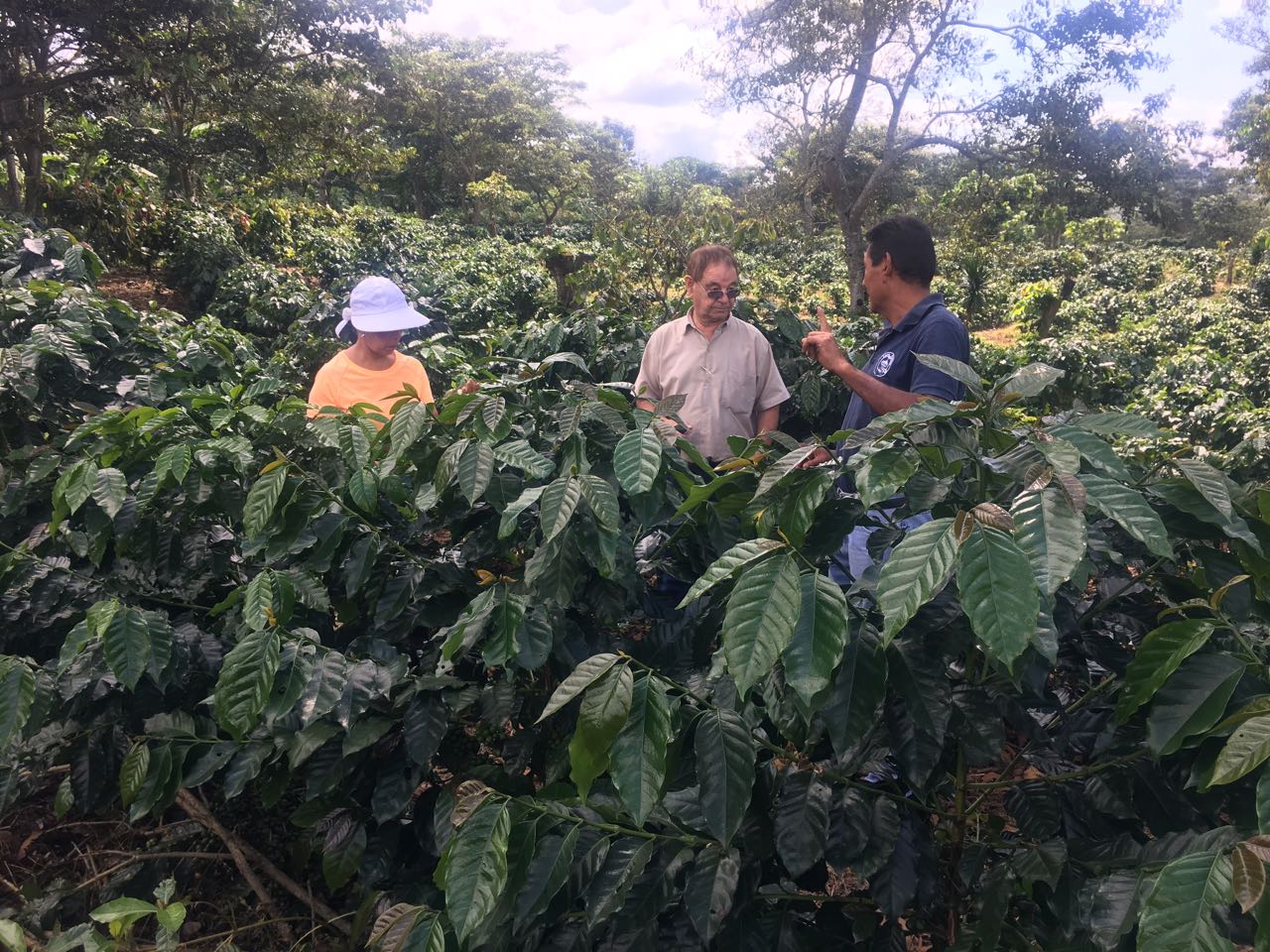 El Salvador Farm to Cup Geisha