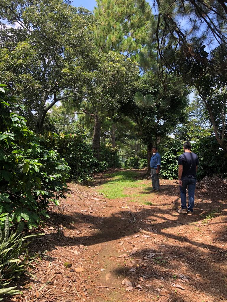 El Salvador Farm to Cup Geisha
