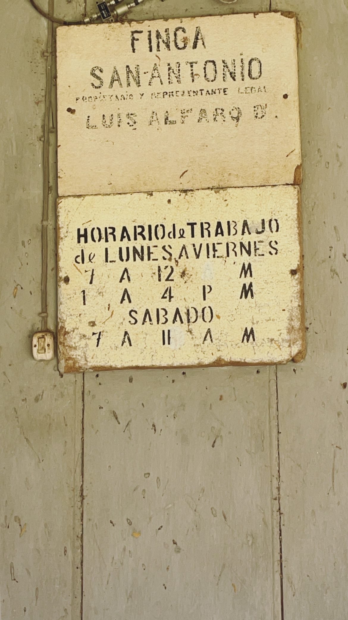 El Salvador Farm to Cup Geisha