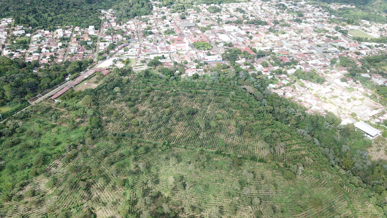 El Salvador Farm to Cup Geisha
