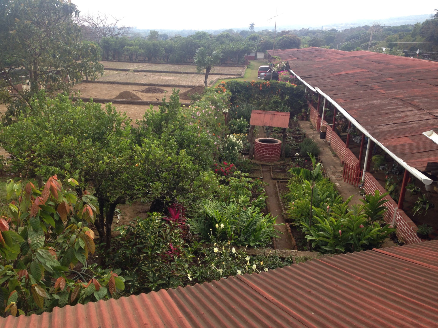 El Salvador Farm to Cup Geisha