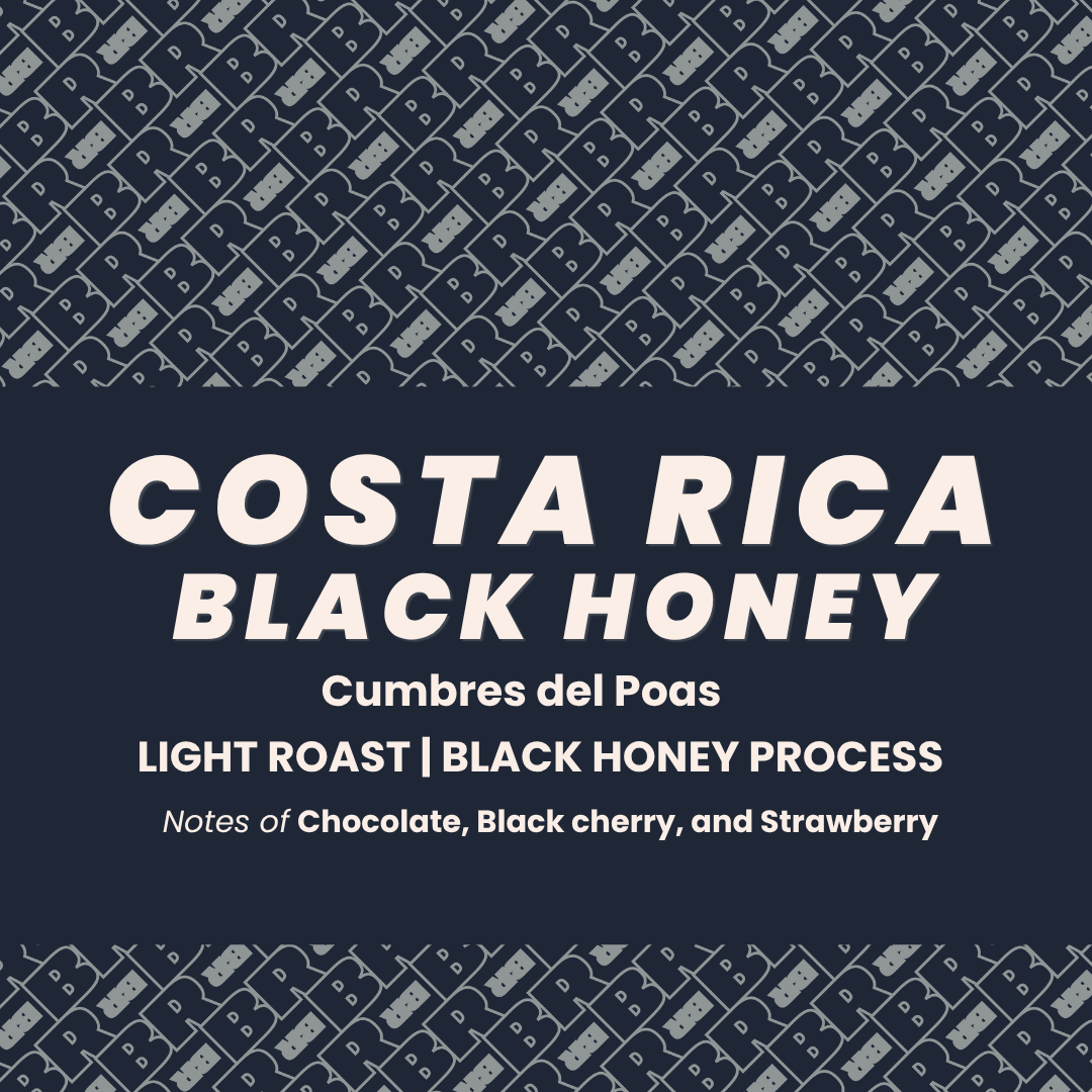 Costa Rica Black Honey