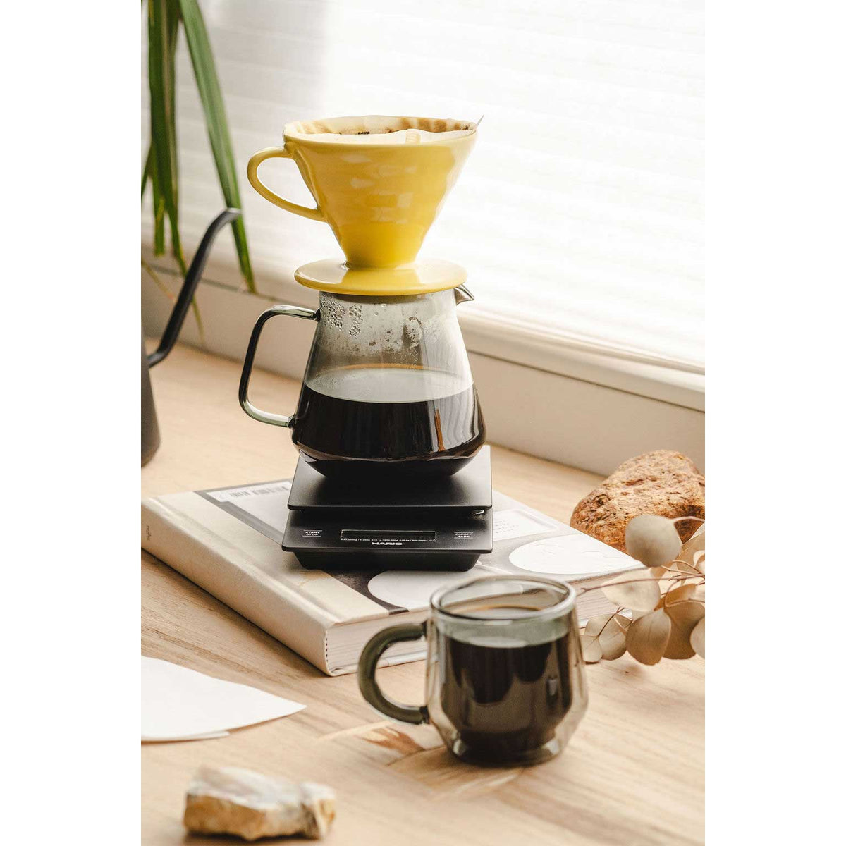 Hario Glass Coffee and Tea Server - Gray (600ml)