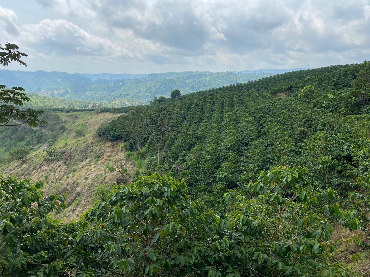 Colombia Borbon Marta Rubi