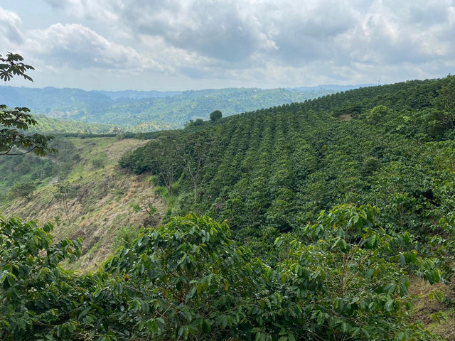 Colombia Borbon Marta Rubi