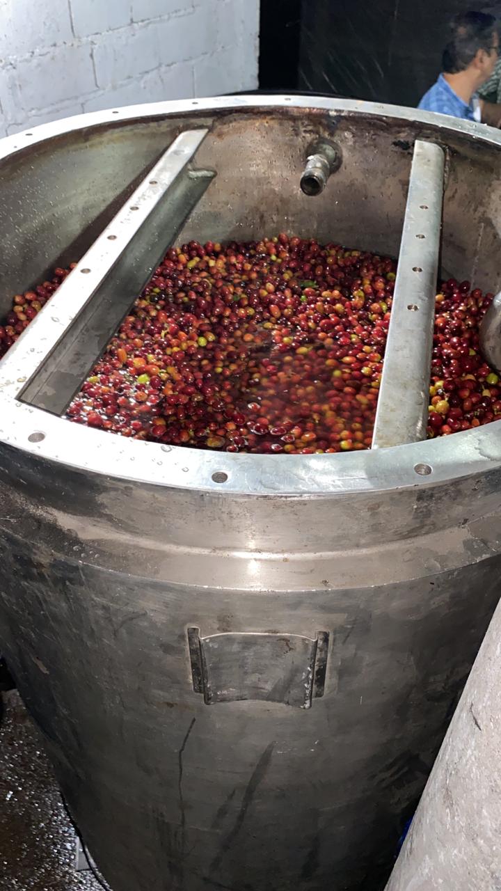 Colombia Borbon Marta Rubi