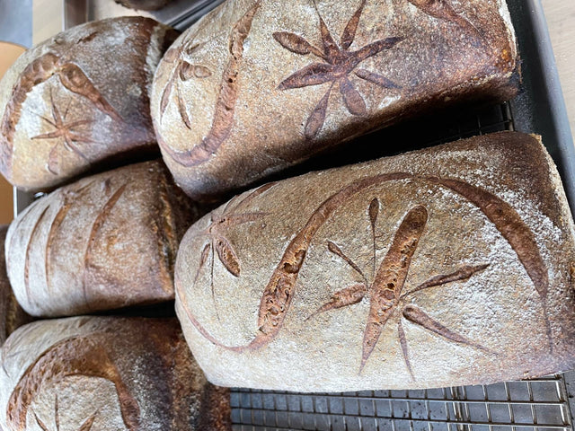 Sourdough Bread