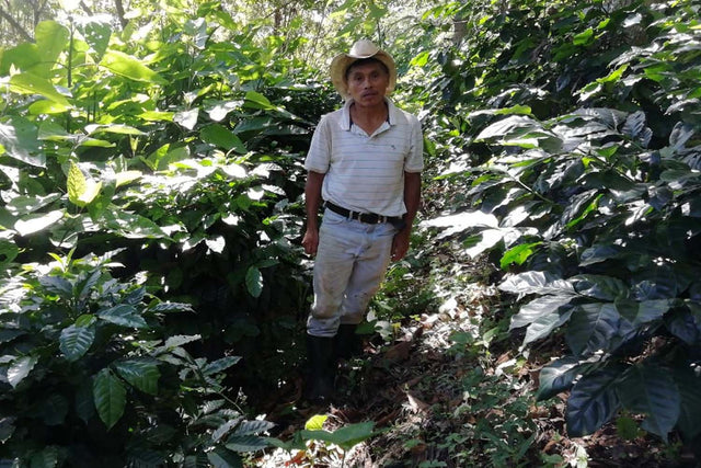Guatemala Huehuetenango