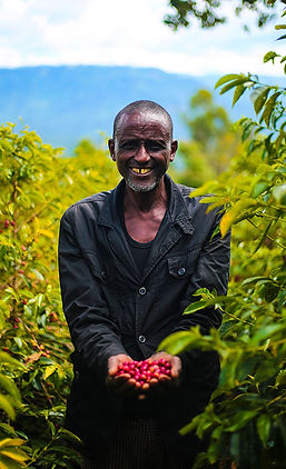 Ethiopia Natural