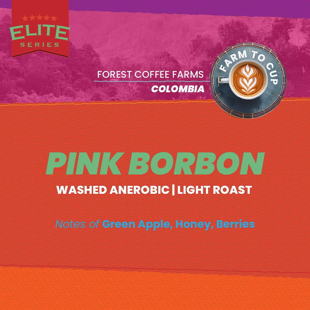 Photo of Colombia Pink Bourbon
