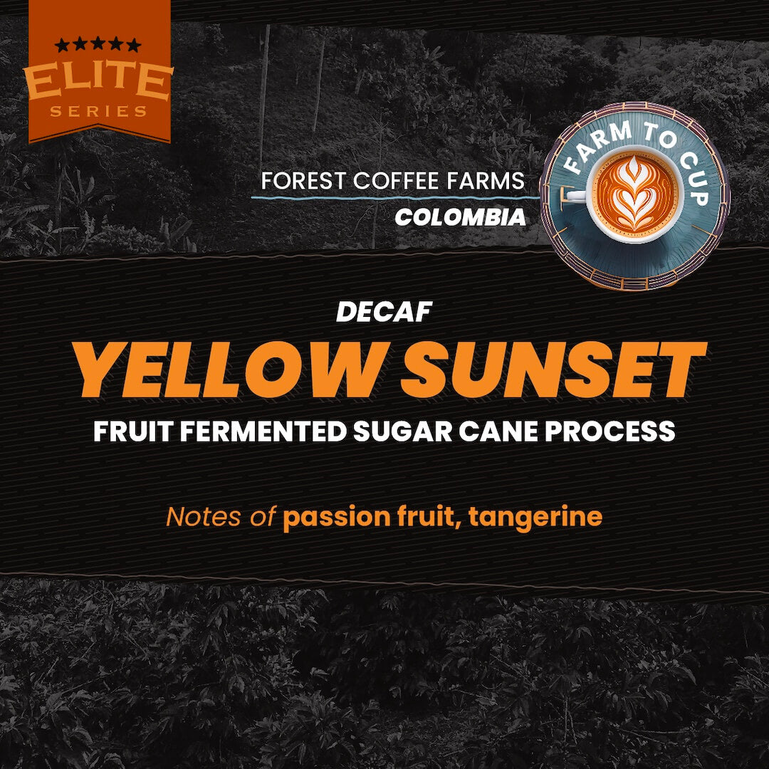 Yellow Sunset Decaf