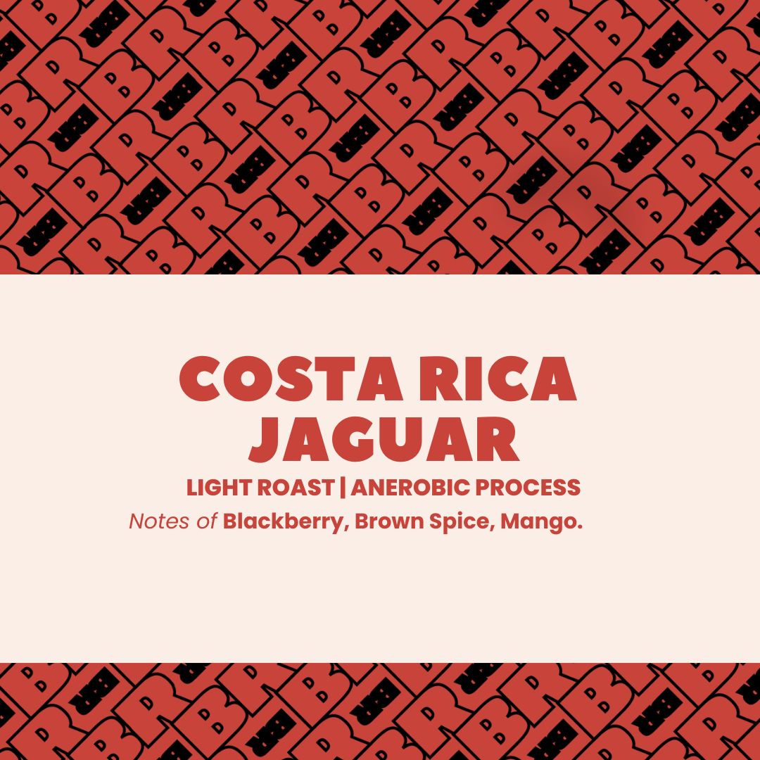 Photo of Costa Rica Anerobic