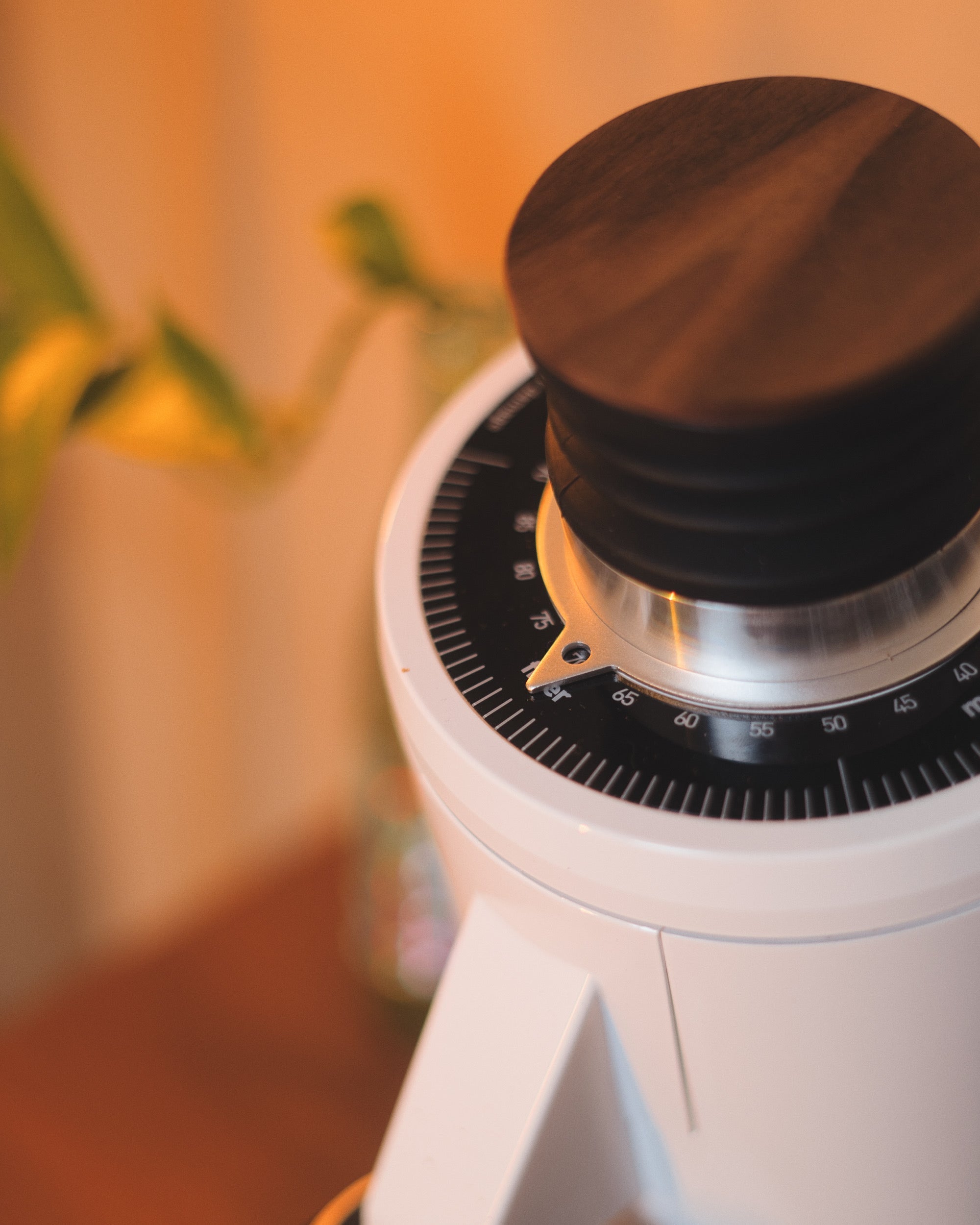 Turin DF83 v3 Single Dose Grinder – Brewtus Roasting