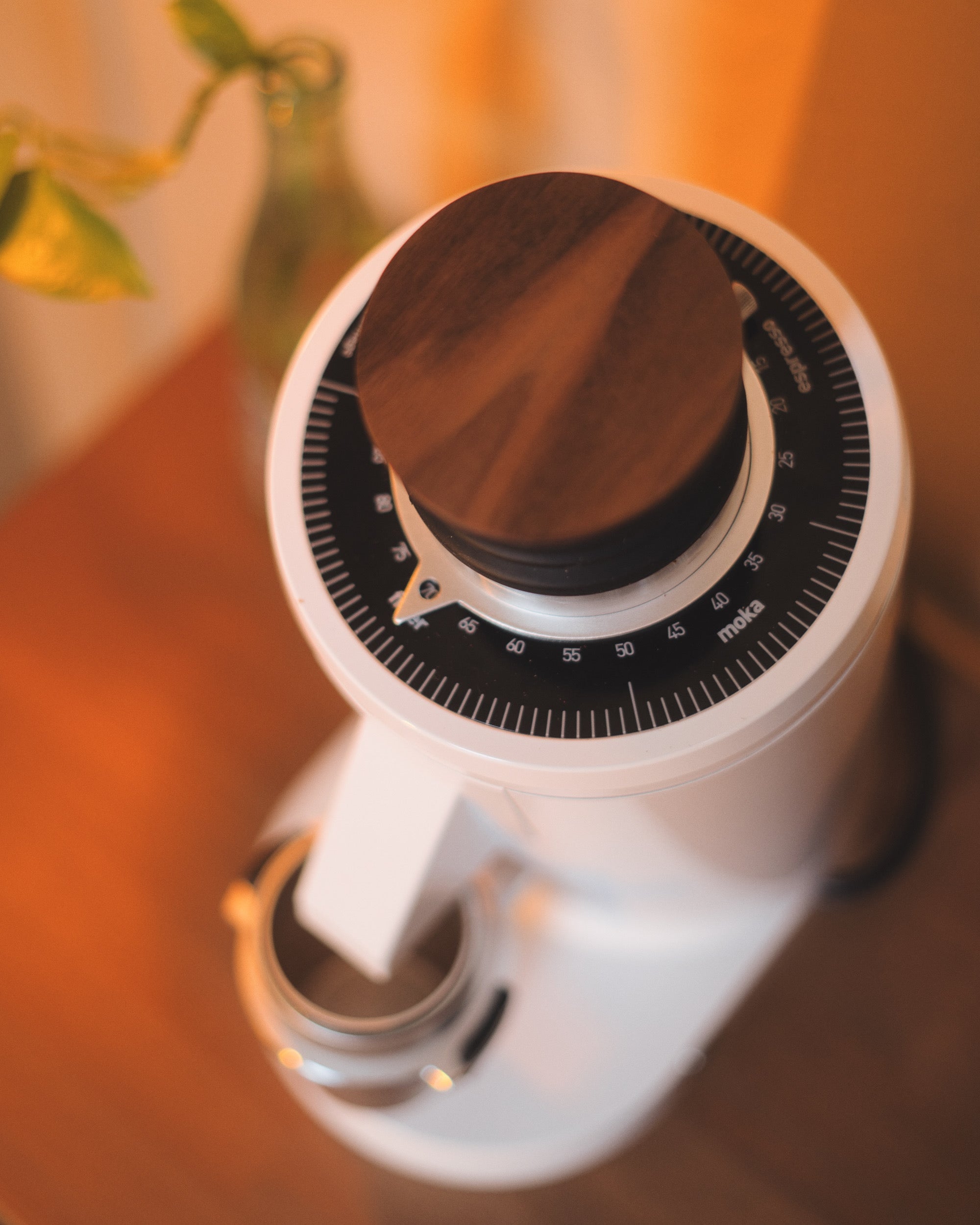 Turin DF83 v3 Single Dose Grinder – Brewtus Roasting