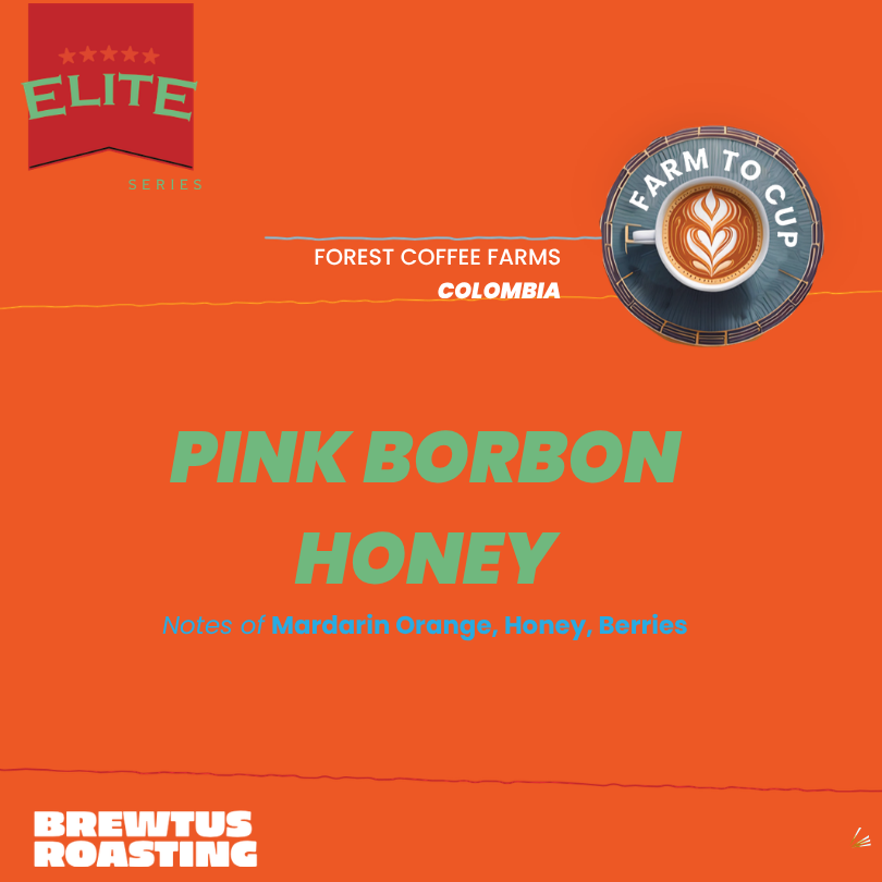 Colombia Pink Bourbon Honey