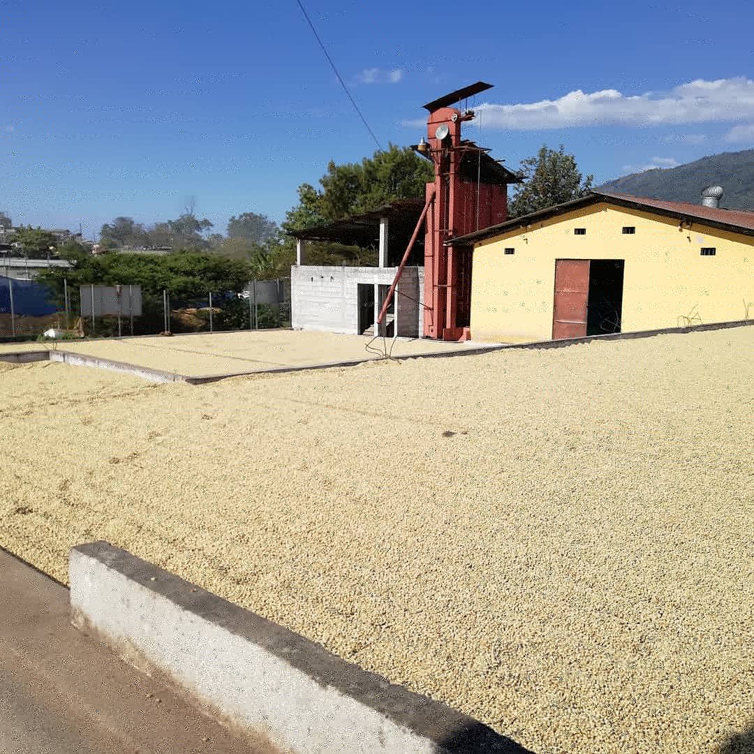 Guatemala Huehuetenango