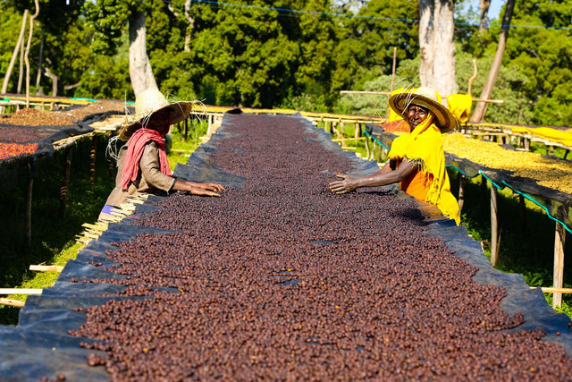 Ethiopia Natural