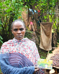 Ethiopia Yirgacheffe Washed