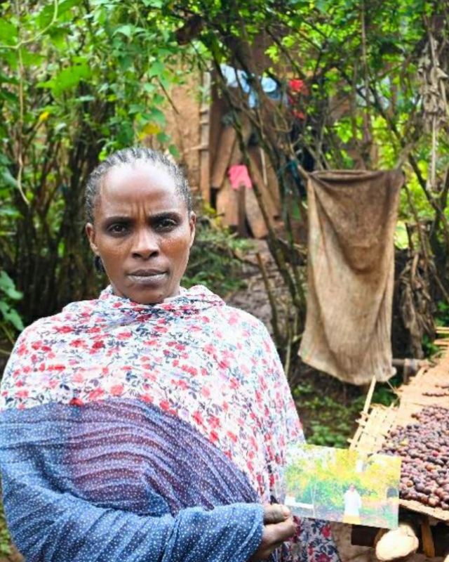 Ethiopia Yirgacheffe Washed